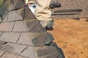 rotted wood of roof